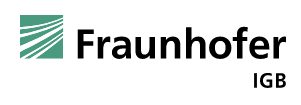 Logo des Fraunhofer IGB