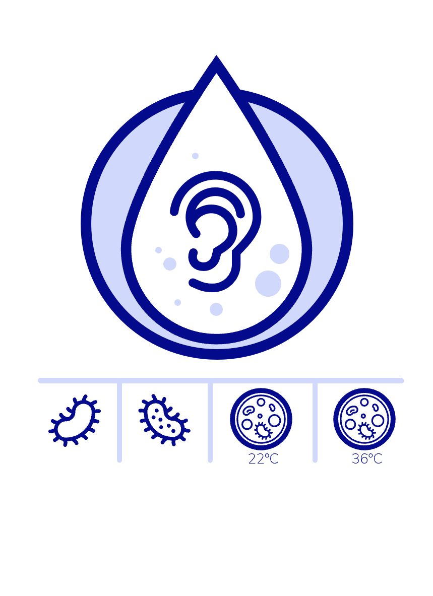Paket HNO-Analyse: Ohr in einem Wassertropfen, darunter Symbole für Legionellen, Pseudomonas aeruginosa und die Koloniezahl bei 22 °C und 36 °C